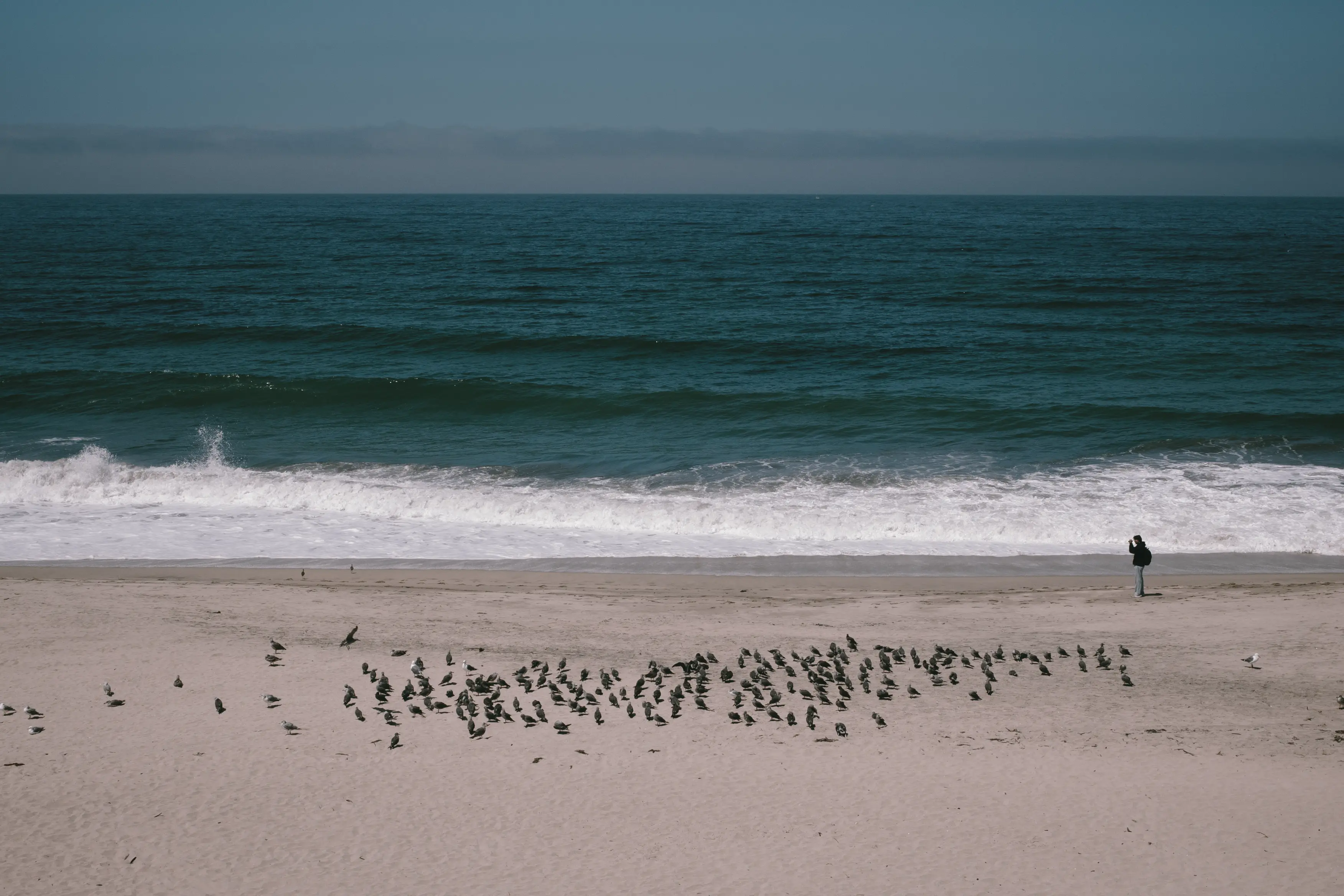 Bay Area/San Francisco, 2026