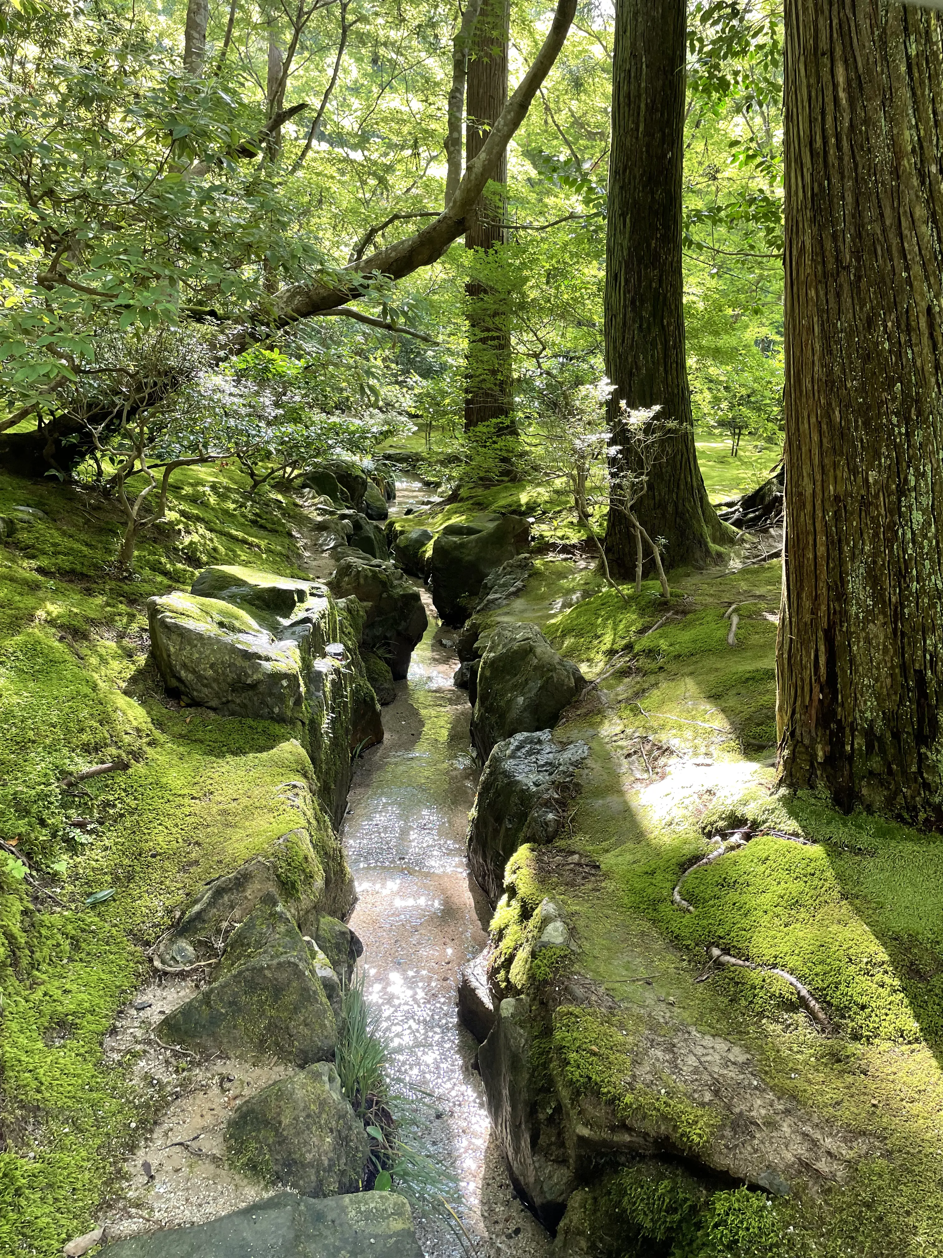 Japan, 2023