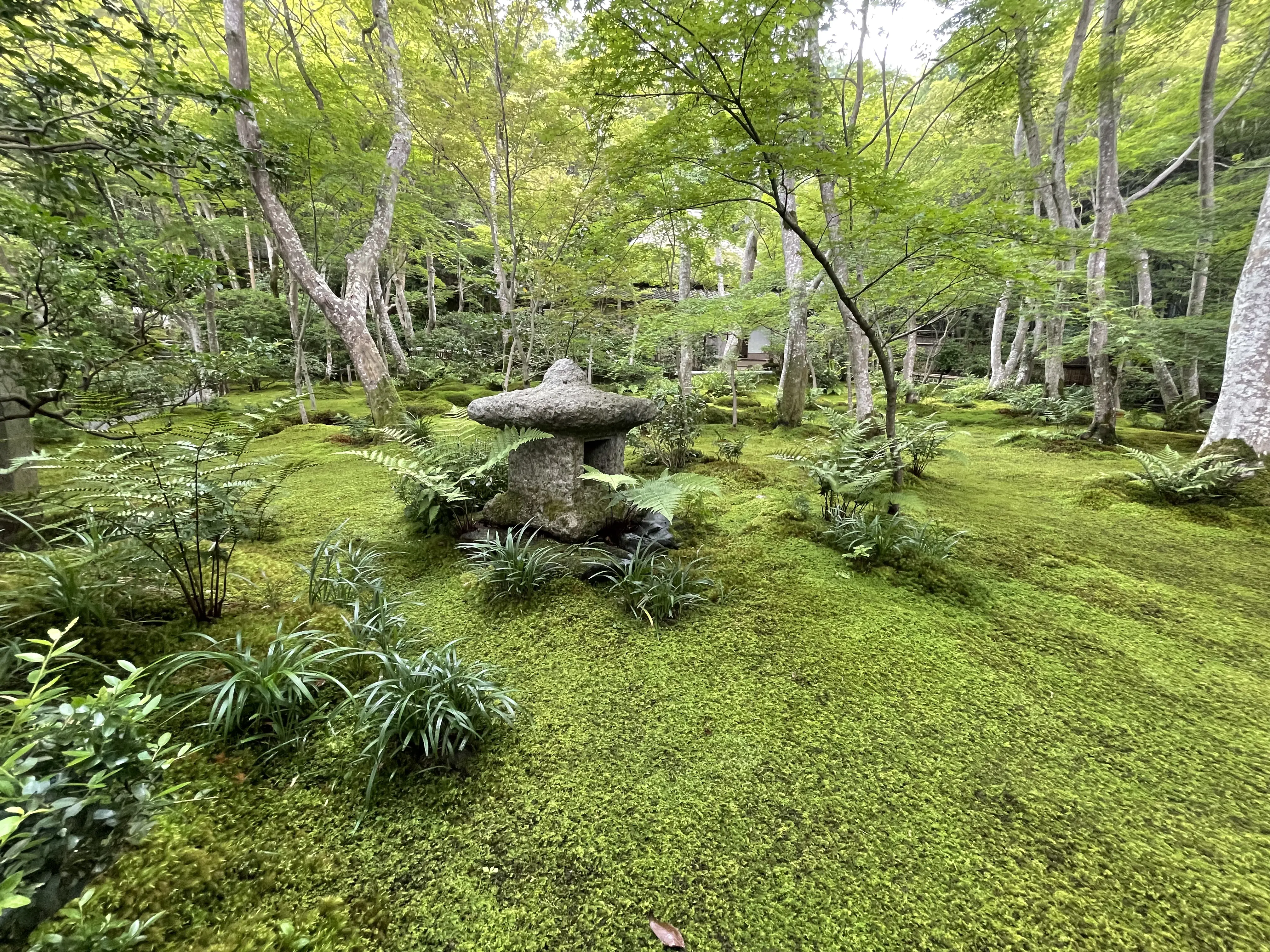 Japan, 2023